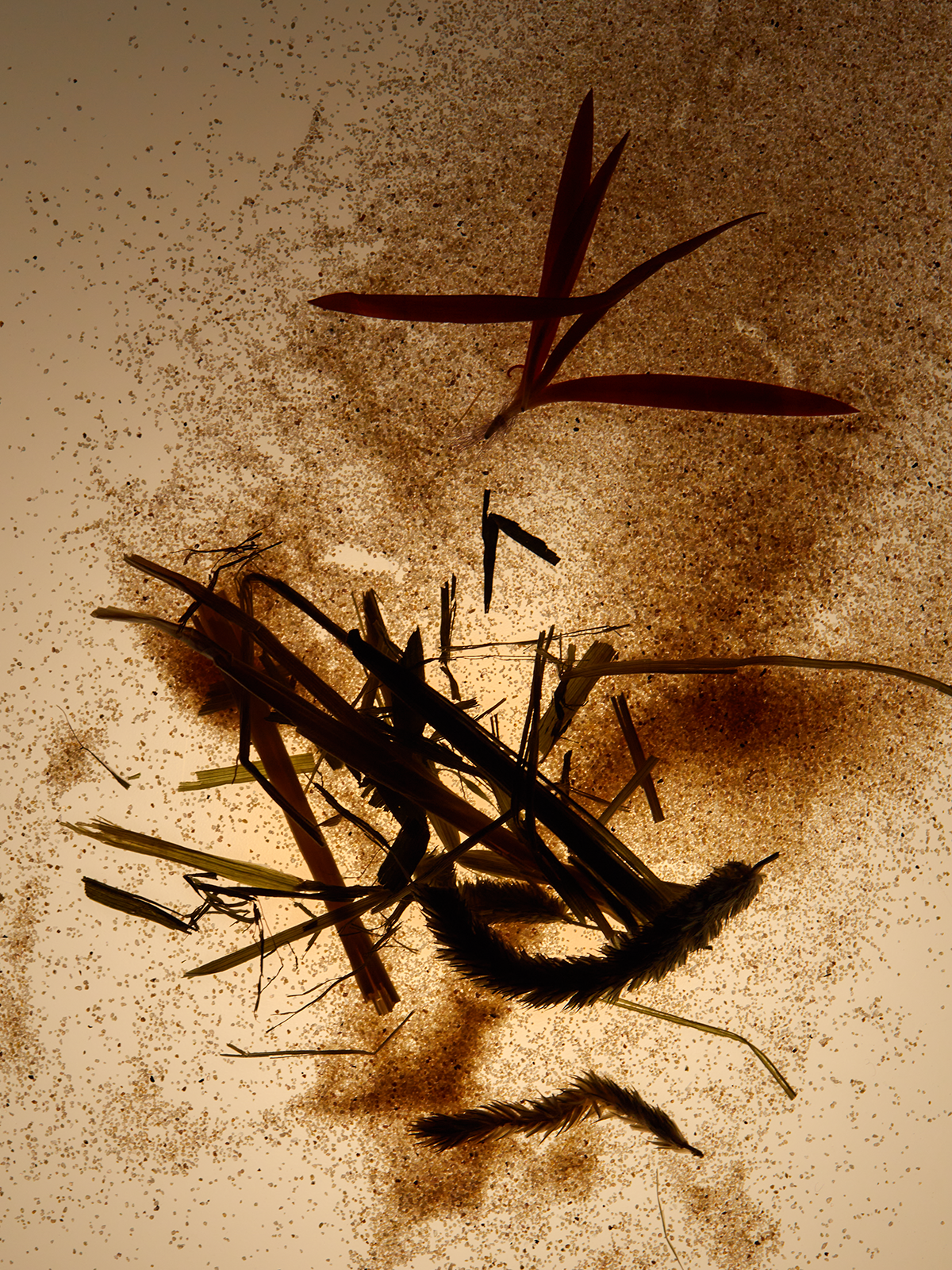 STARGAZE EXTRAIT DE PARFUM 30ML image number 2